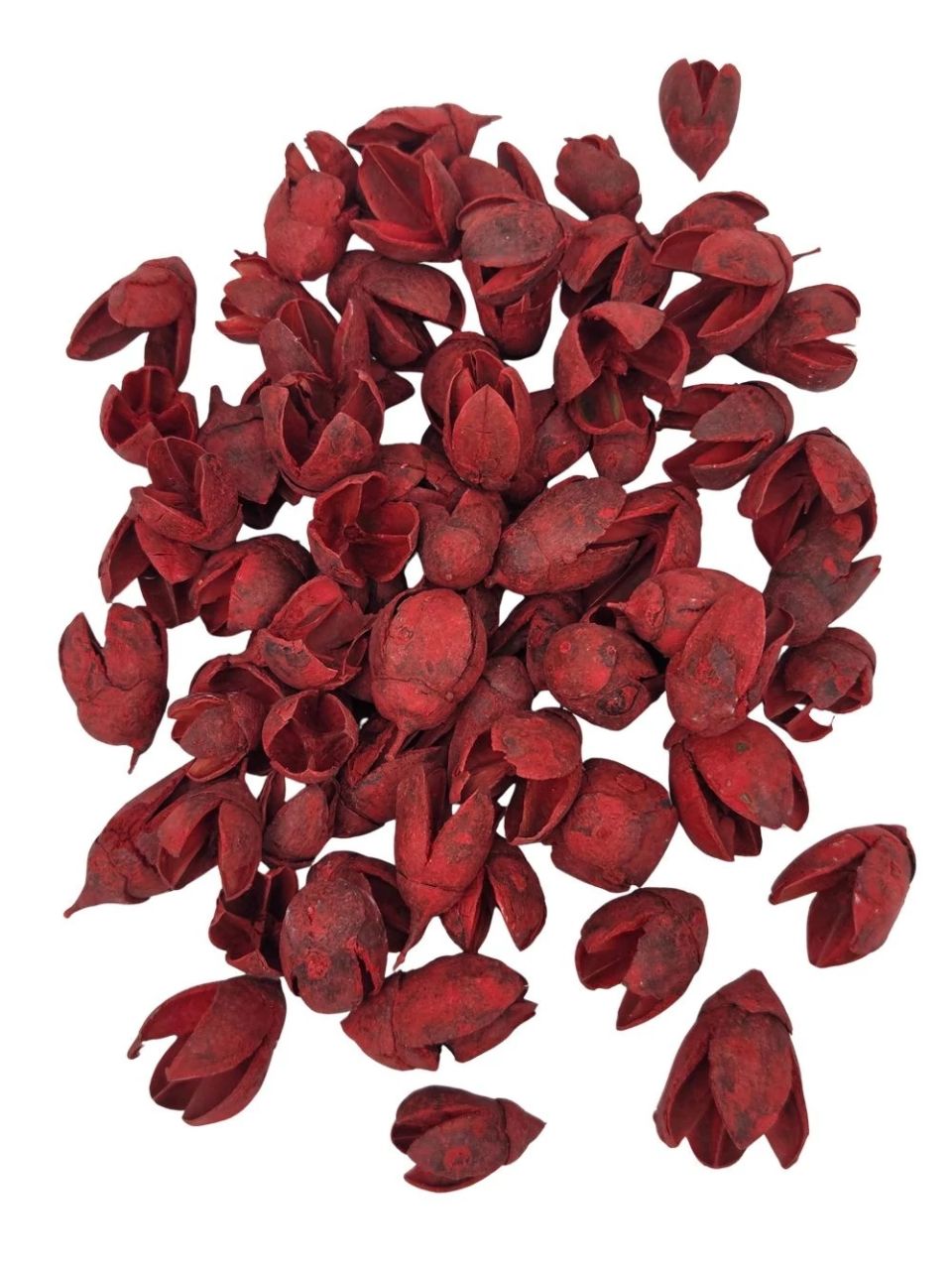 Bakuli szárított termés – több színben Bakuli szárított termés – több színben