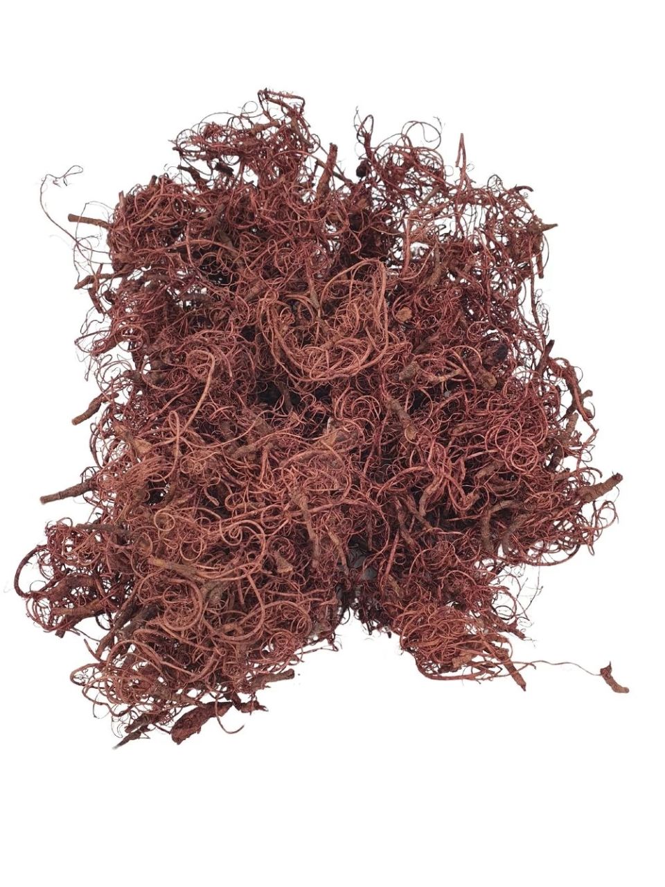 Kócos moha - Több színben