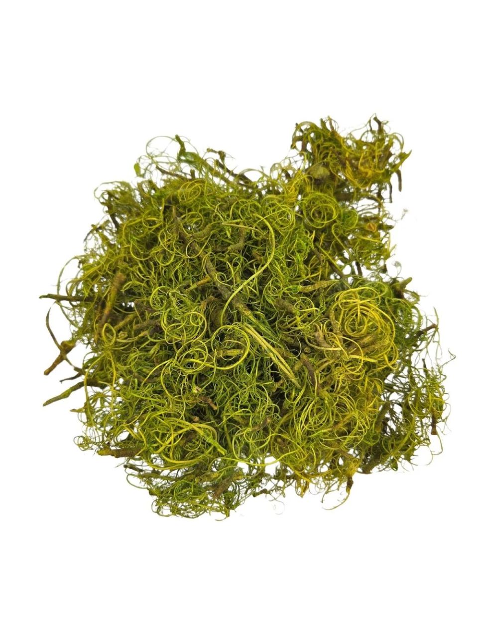 Kócos moha - Több színben