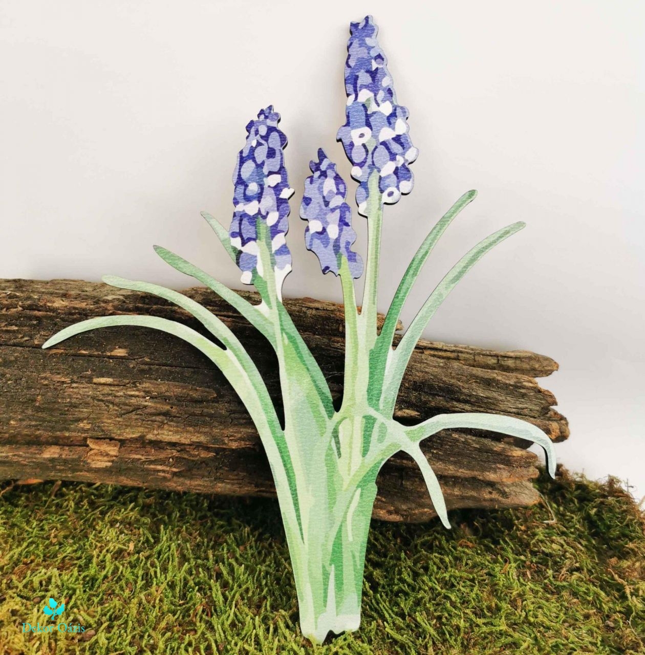 Muscari Csokor – 18cm 3 db / csomag