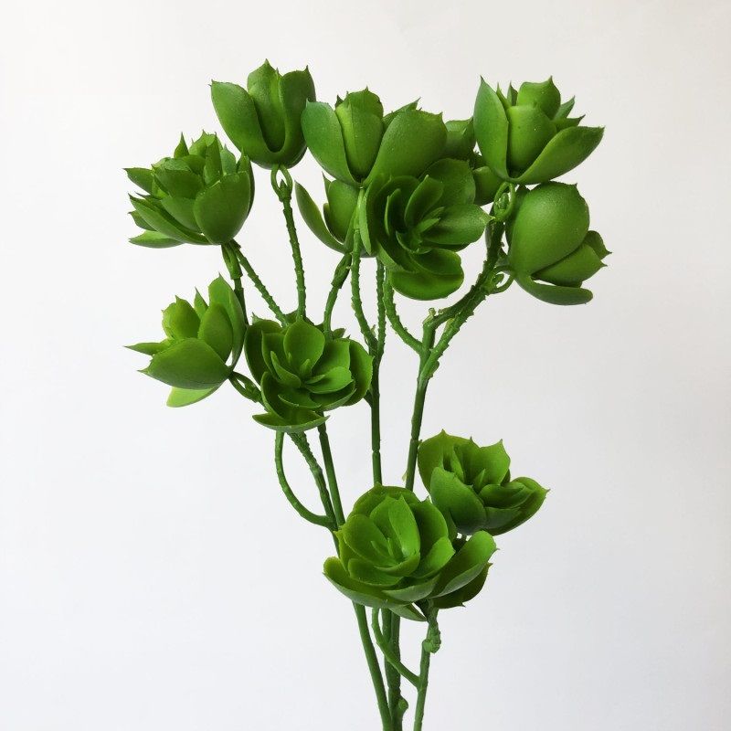 Kőrózsa ág 60cm -5 színben Kőrózsa ág 60cm -5 színben