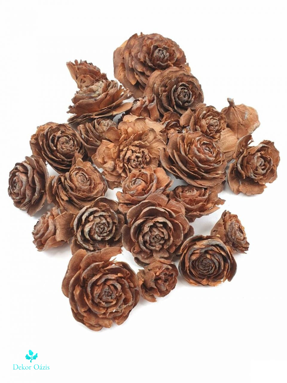 Cedar rose - 5 színben