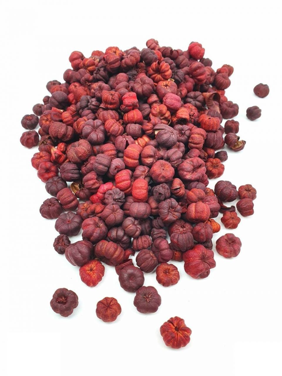Putka pod szárított termés / Liliputi tök - Több színben Putka pod szárított termés / Liliputi tök - Több színben