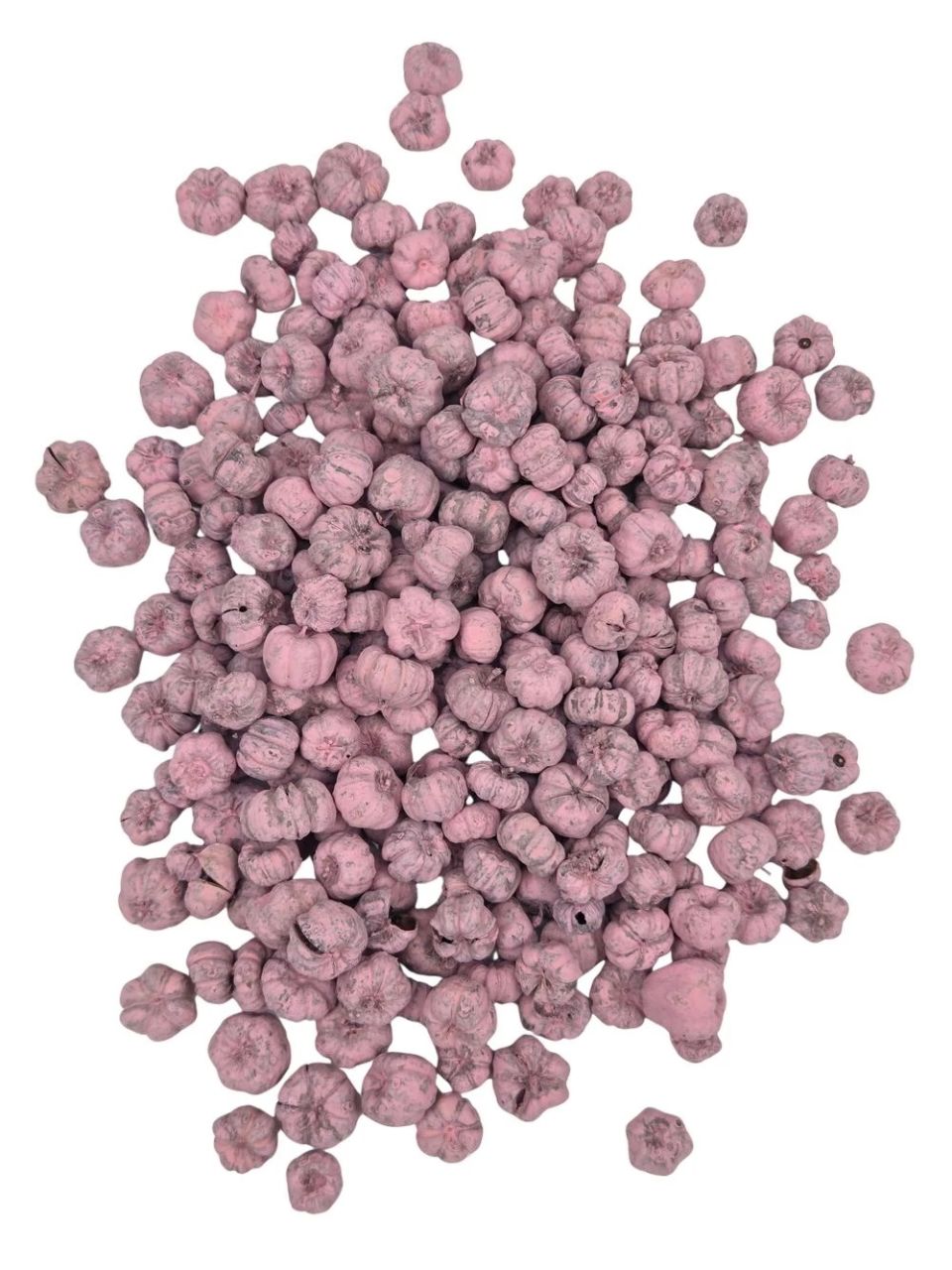 Putka pod szárított termés / Liliputi tök - Több színben Putka pod szárított termés / Liliputi tök - Több színben