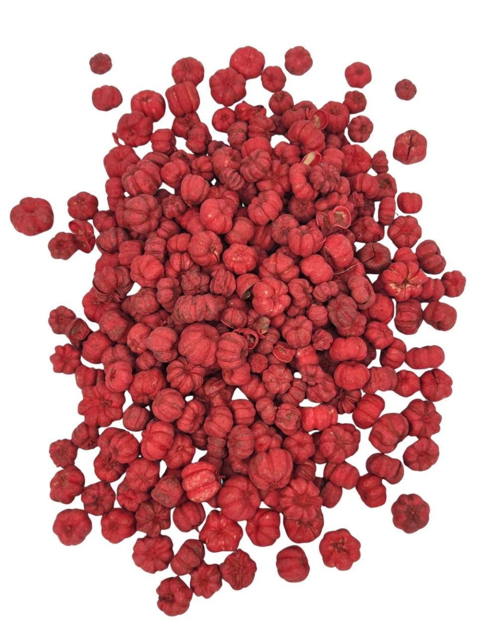 Putka pod szárított termés / Liliputi tök - Több színben Putka pod szárított termés / Liliputi tök - Több színben
