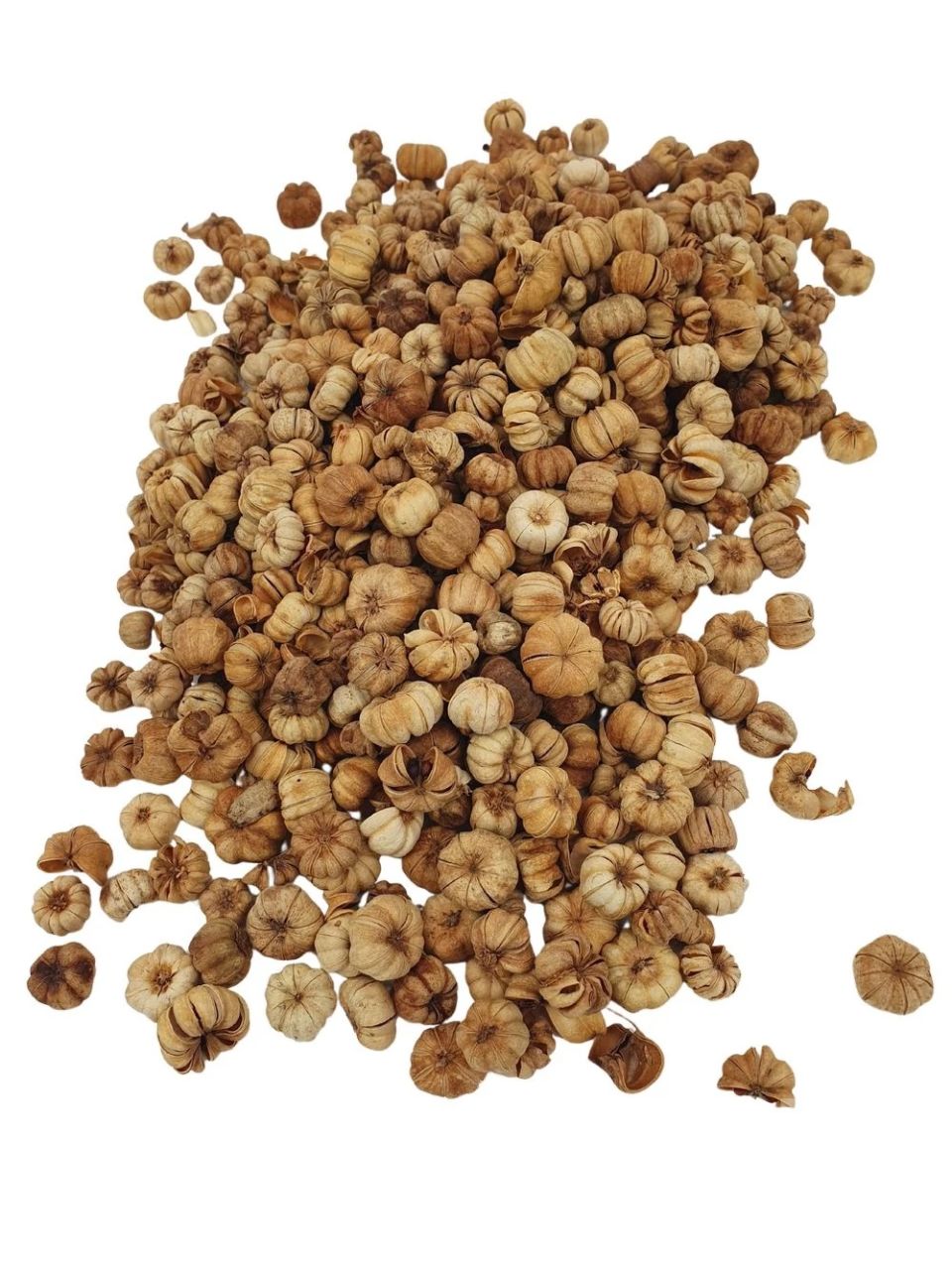 Putka pod szárított termés / Liliputi tök - Több színben Putka pod szárított termés / Liliputi tök - Több színben