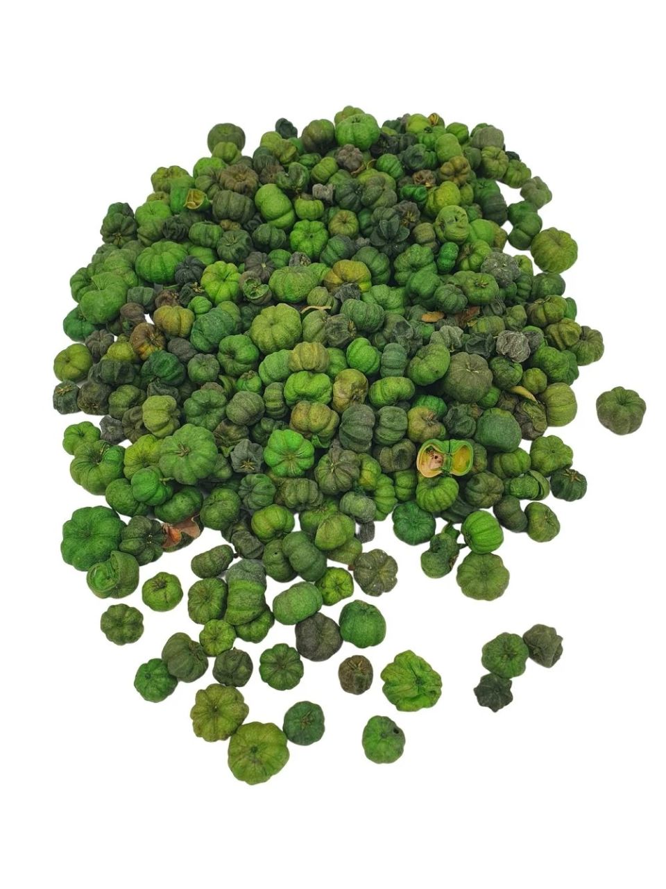 Putka pod szárított termés / Liliputi tök - Több színben Putka pod szárított termés / Liliputi tök - Több színben
