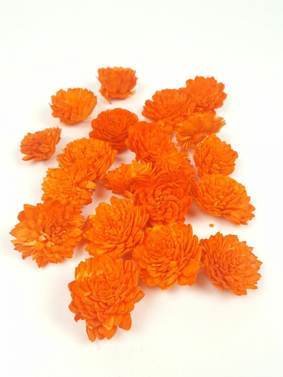Shola zinnia virág 20 db / csomag - Több színben 
