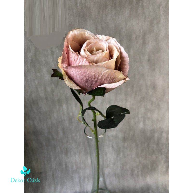 Szálas rózsa 52cm - 6 sznebn