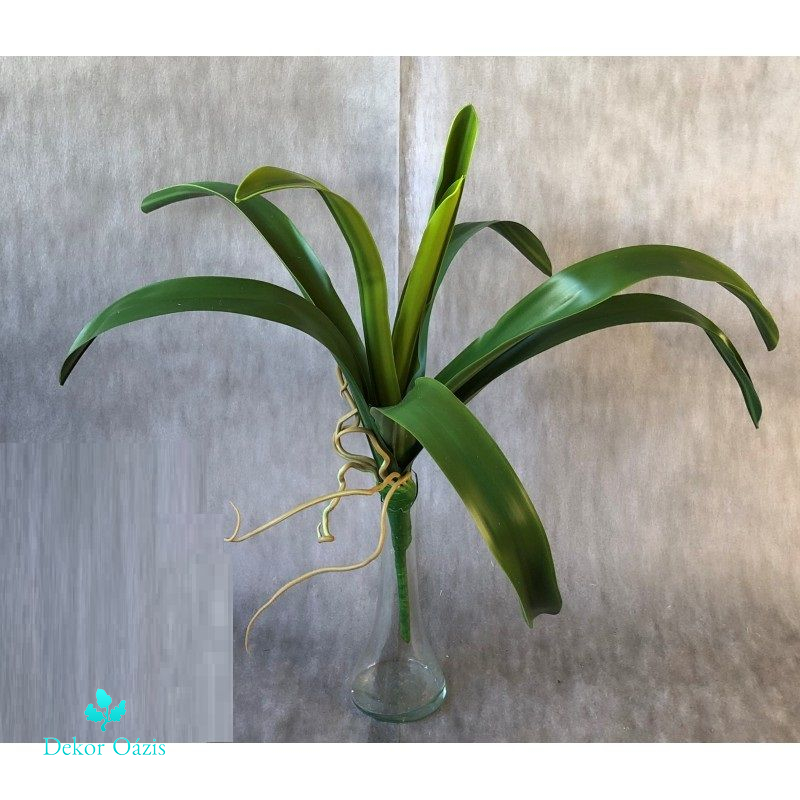 Cymbidium orchidea levél x9 55cm