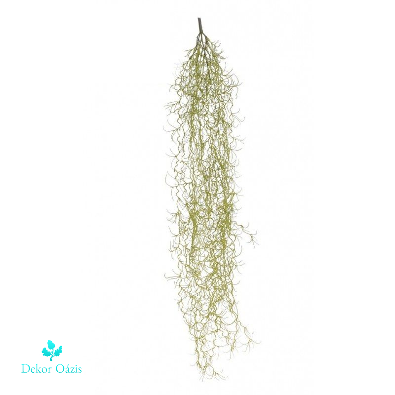 Tillandsia futó 87cm