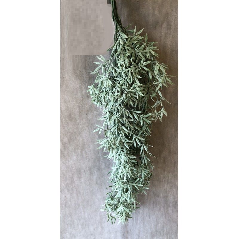 Tillandsia futó hamvas 80cm