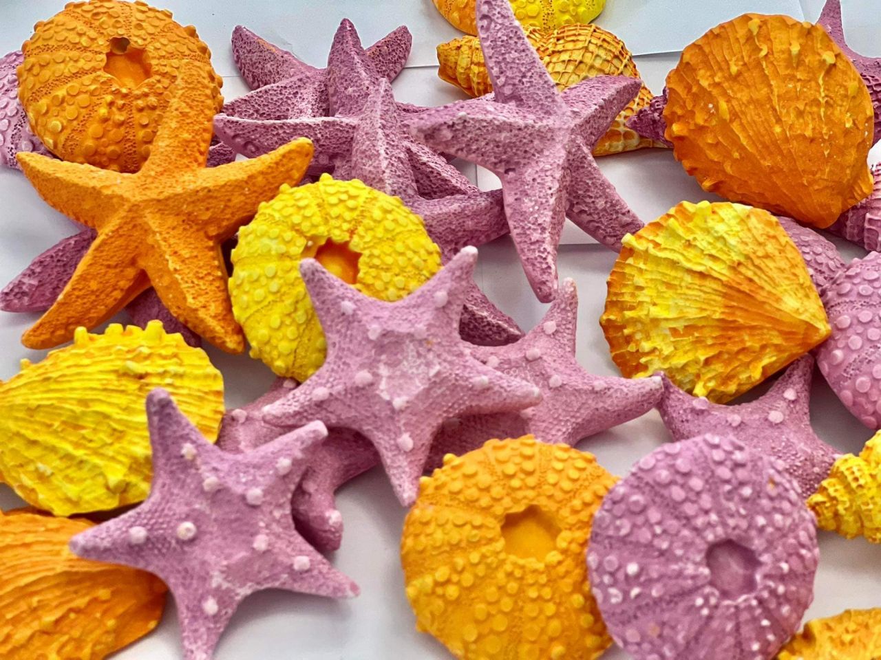 3D-s tengeri csillag szett - Több színben