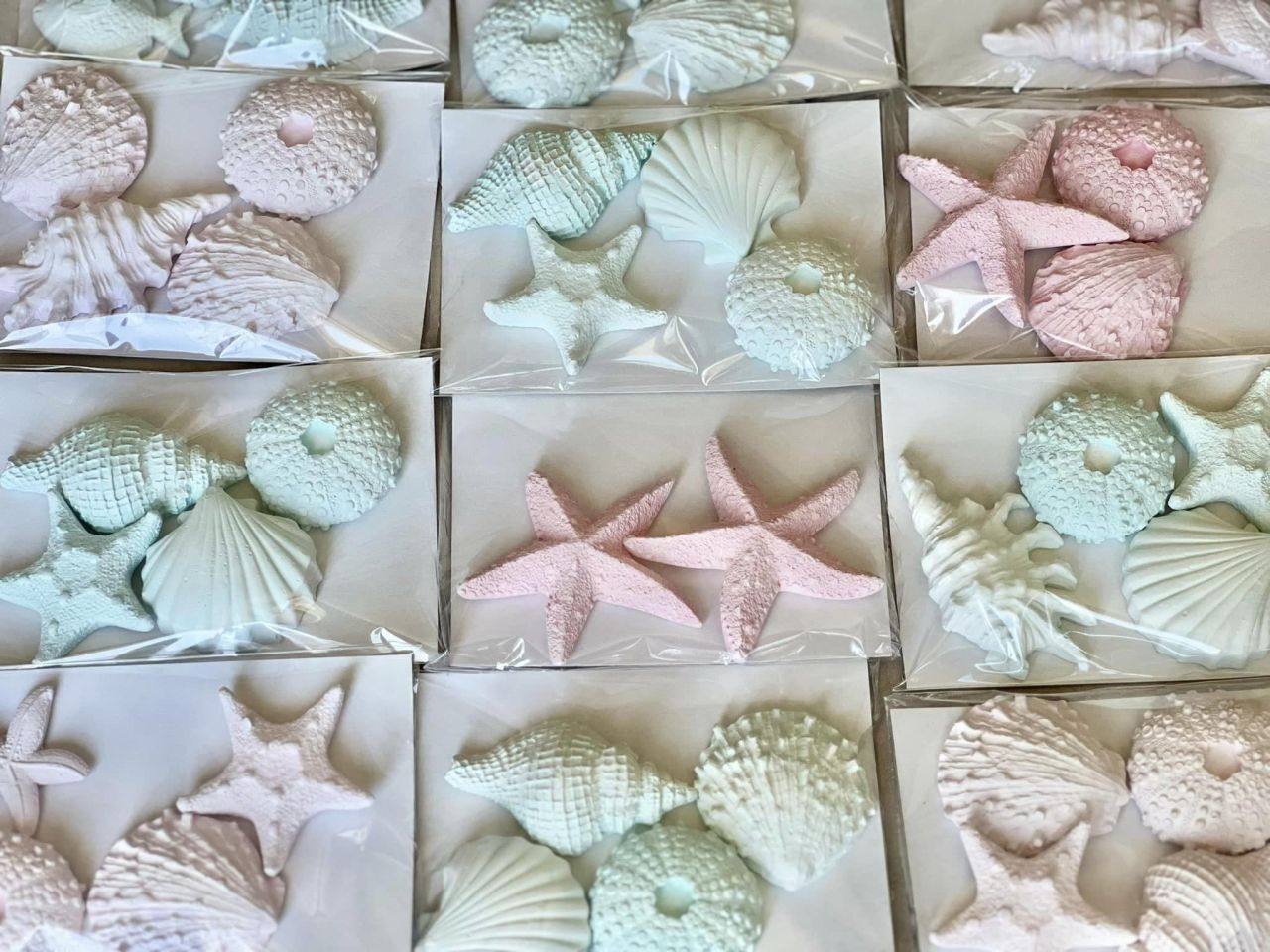 3D-s vegyes tengeri kagyló szett - Több színben