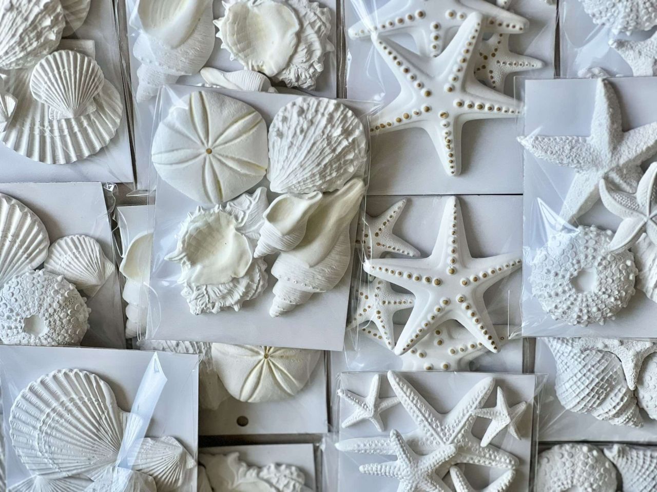 3D-s vegyes tengeri kagyló szett - Több színben 3D-s vegyes tengeri kagyló szett - Több színben