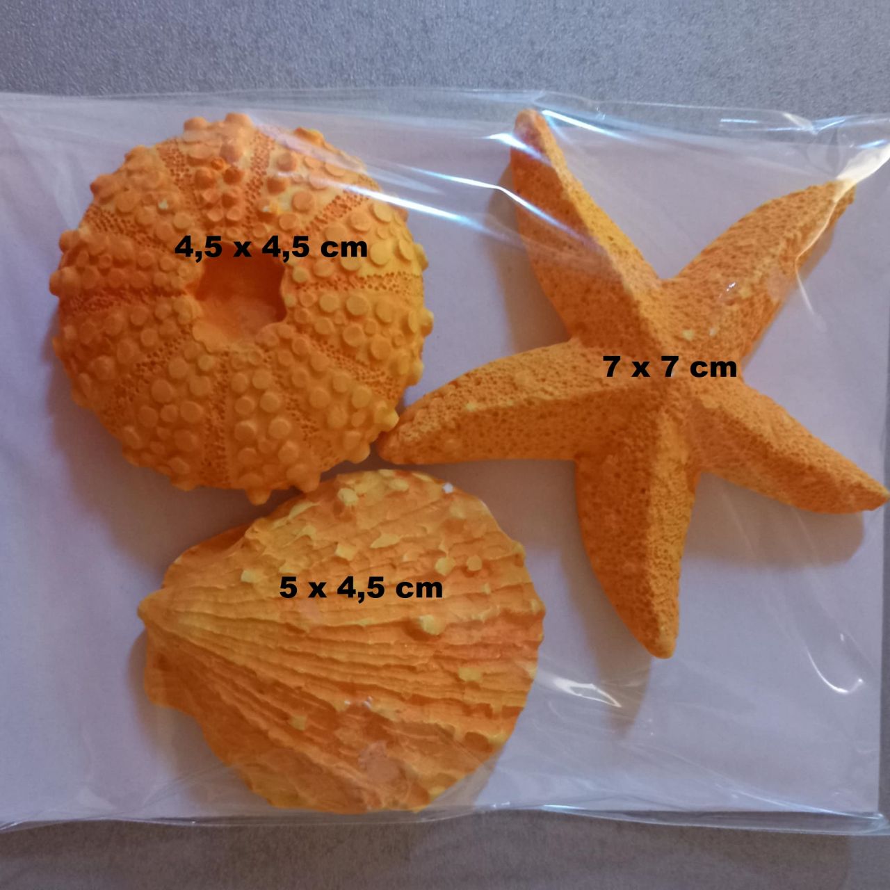 3D-s vegyes tengeri kagyló szett - Több színben