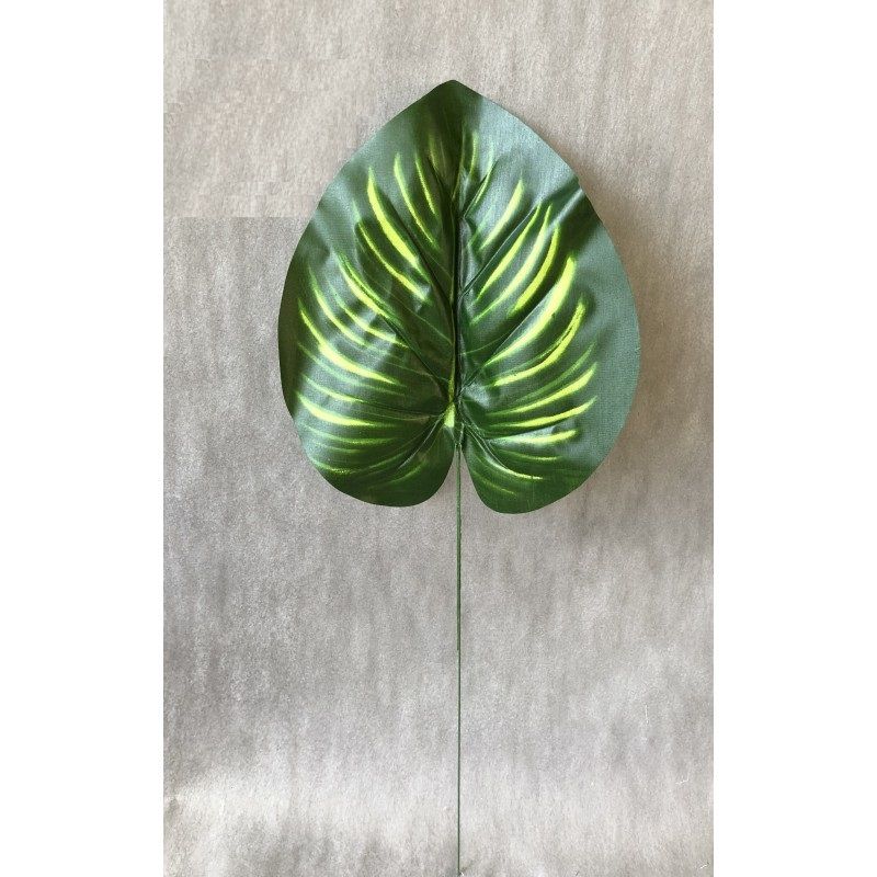 Dieffenbachia levél 40cm