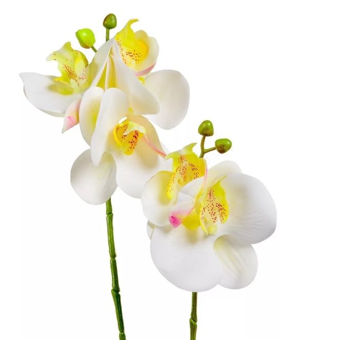 Orchidea ág levéllel gumi M48cm - Több színben
