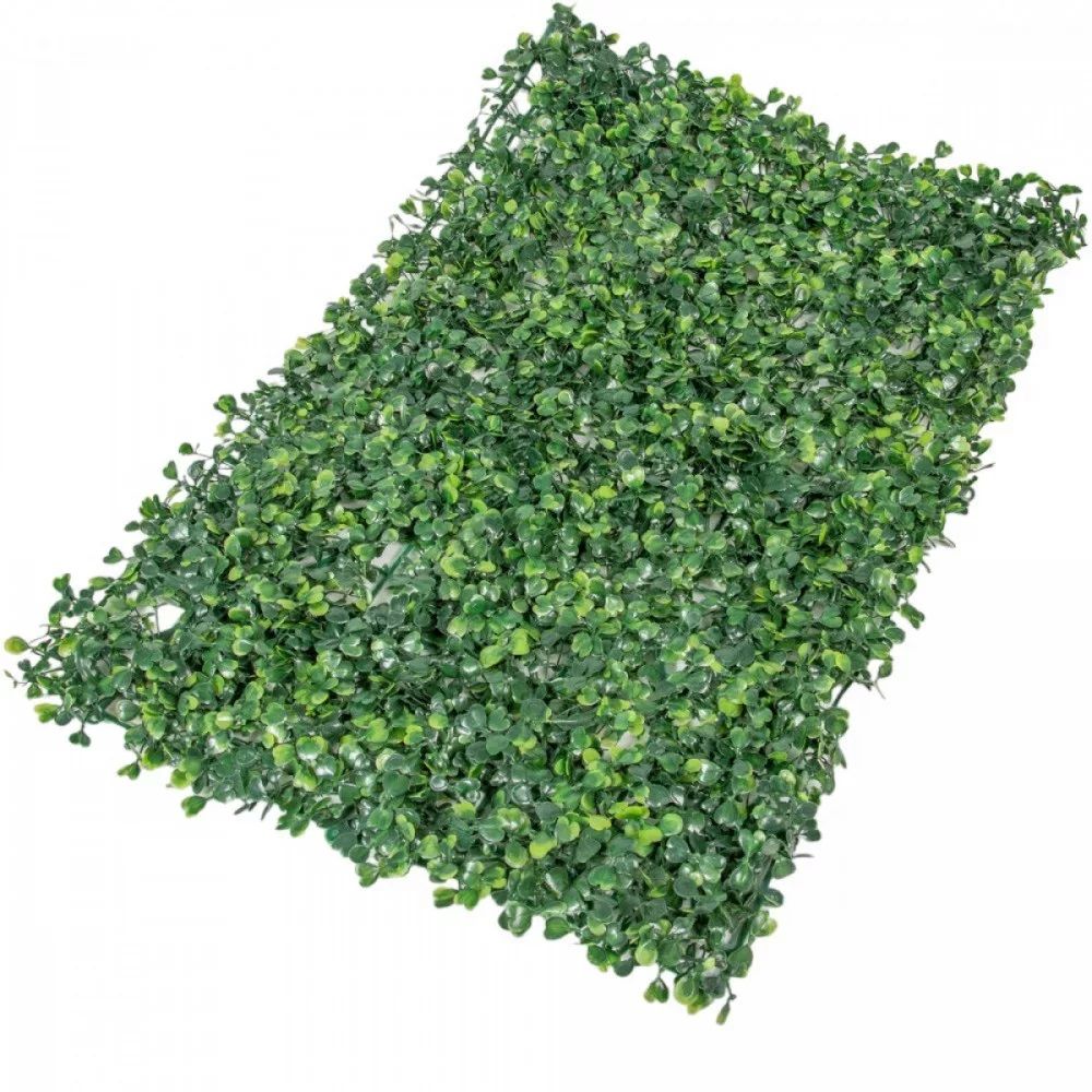 Buxus szőnyeg zöld
