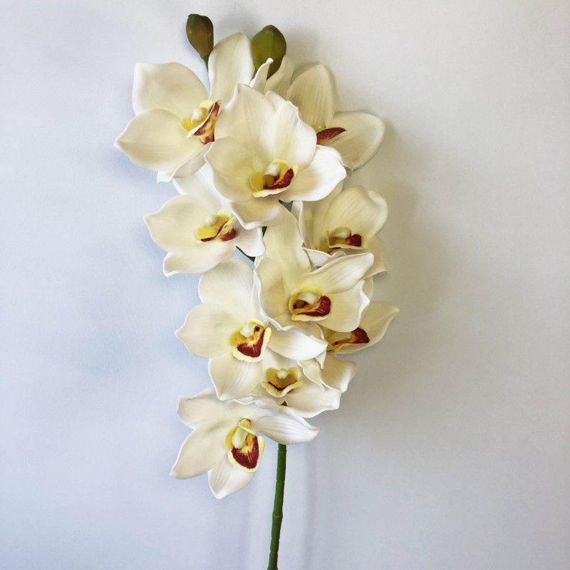 Orchidea 75cm - Krém