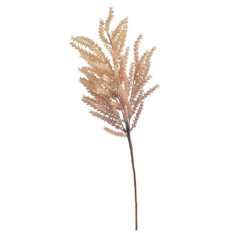 Pampafű 71 cm - 6 színben