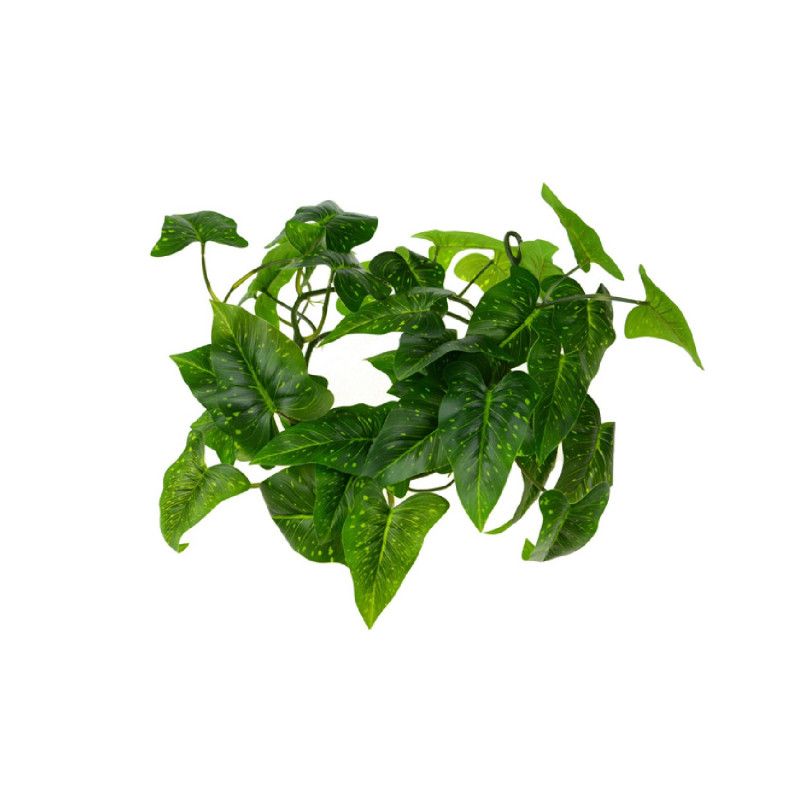 Philodendron futó 120cm - 2 színben