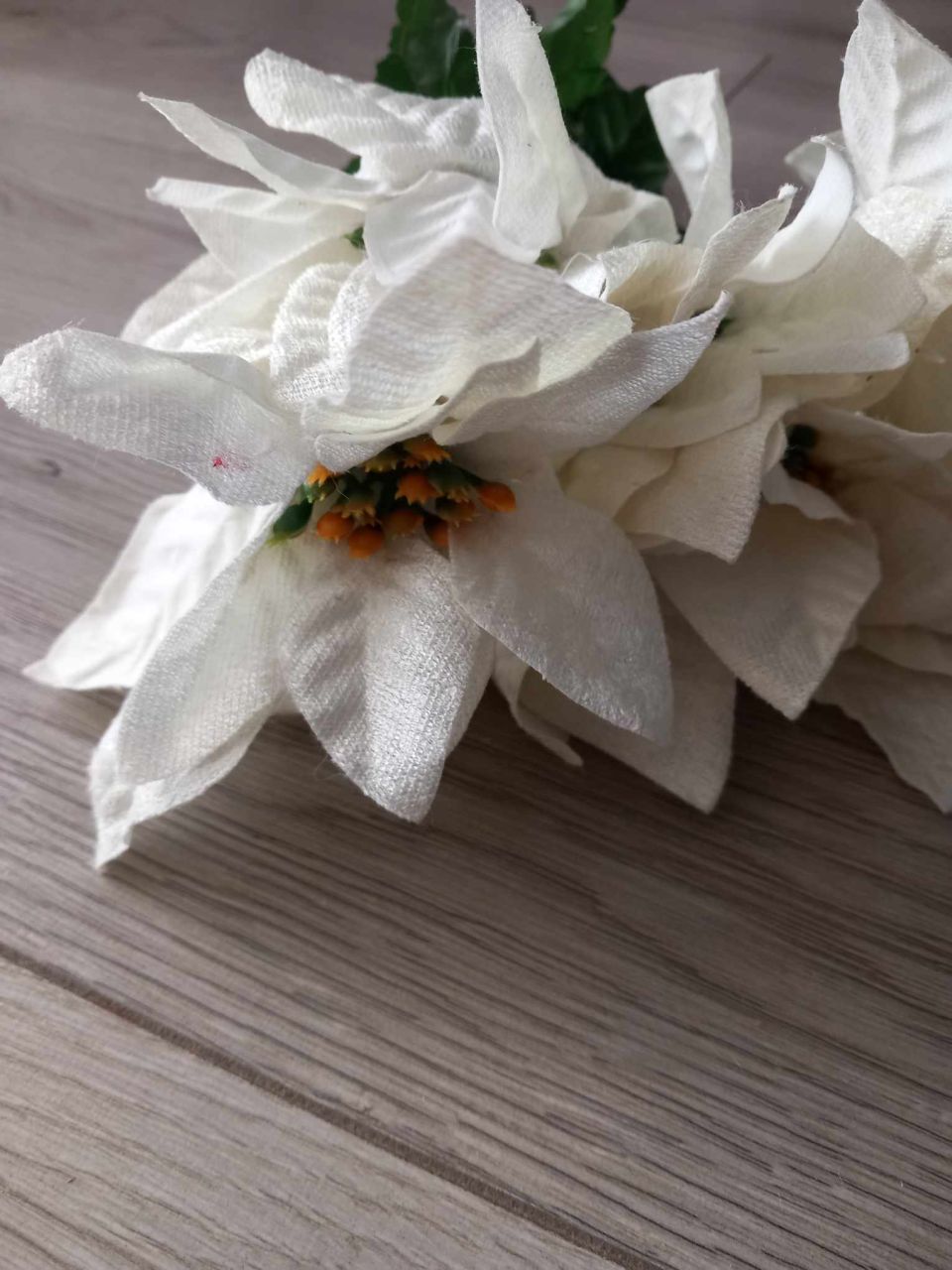 Szálas krém színű mikulásvirág 6 szál / csomag