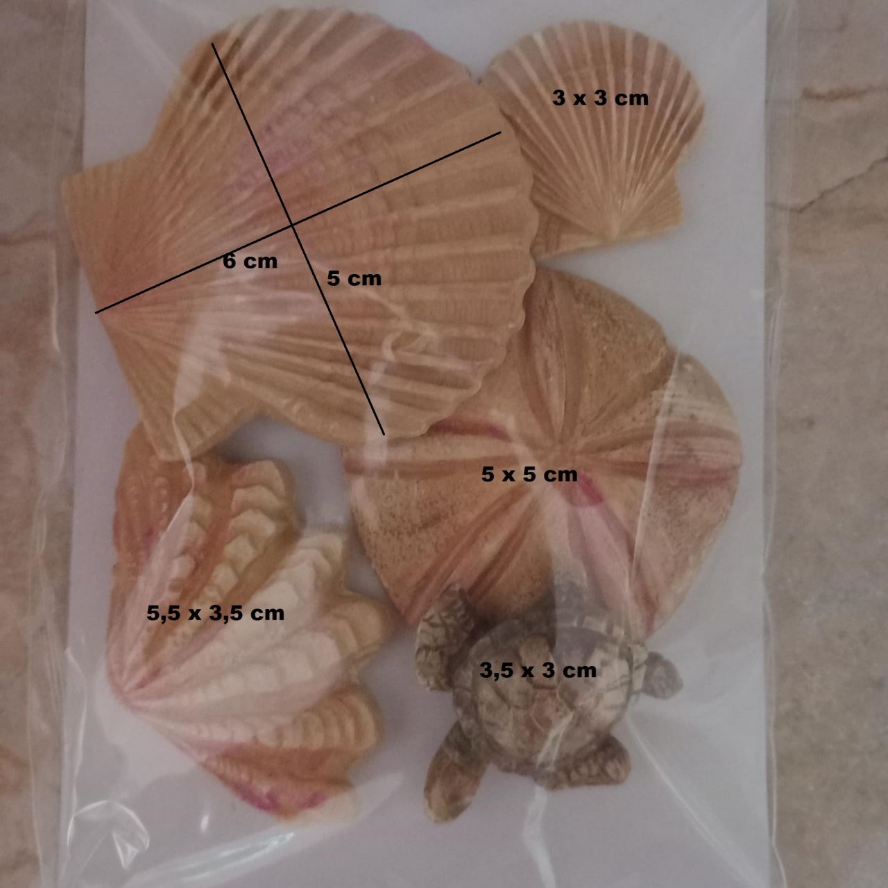 3D-s gipsz kagyló szettek - Több féle 3D-s gipsz kagyló szettek - Több féle