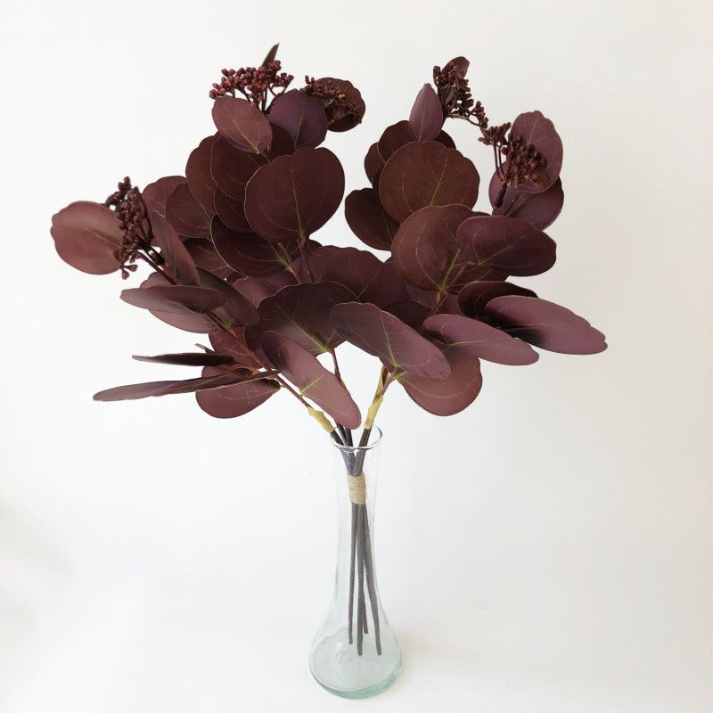 Eukalyptus kötegelt csokor x5 43cm Eukalyptus kötegelt csokor x5 43cm