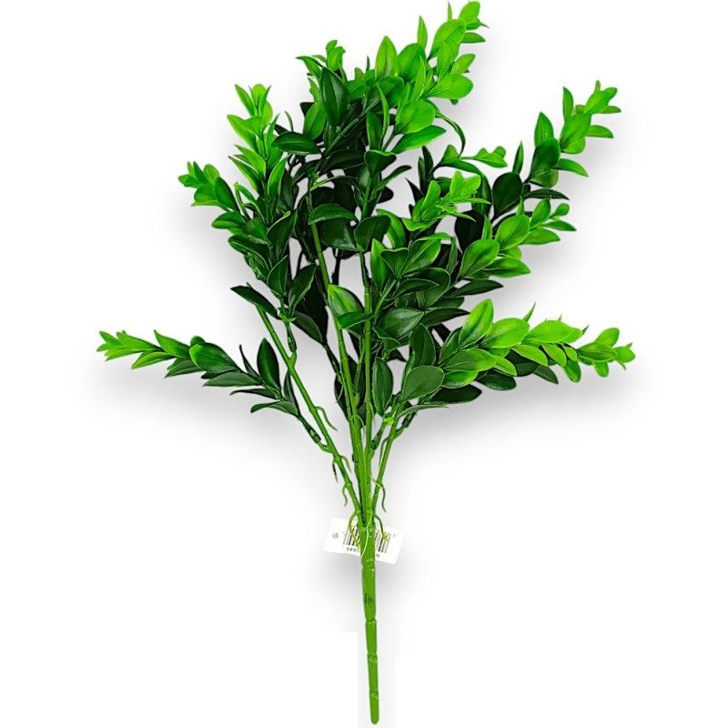 Eukalyptus bokor x5 42cm Eukalyptus bokor x5 42cm