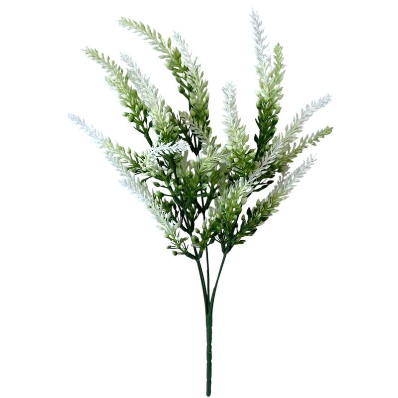 Hosszú leveles bokor x5 36cm Hosszú leveles bokor x5 36cm