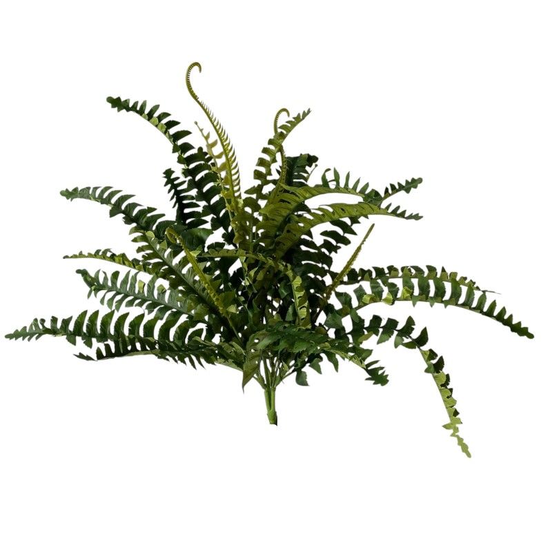 Páfrány bokor 60cm