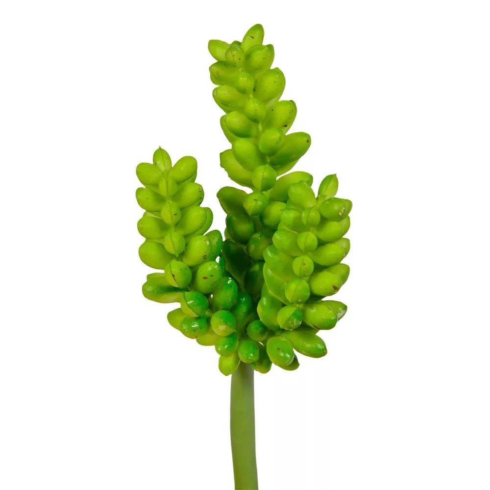 Pozsgás M12cm Pozsgás M12cm