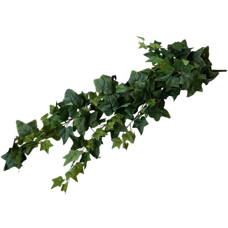 Borostyán futó 97cm Borostyán futó 97cm