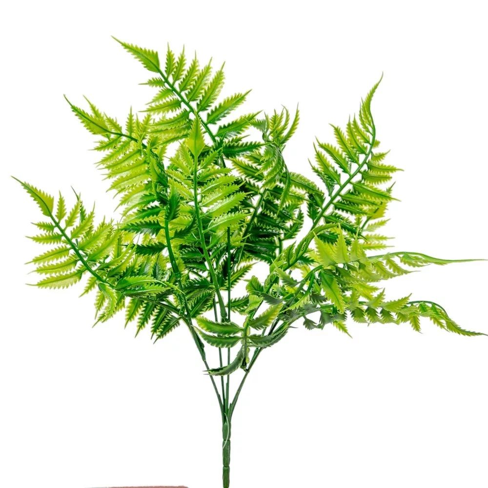 Páfrány levél bokor 5ágú M38cm Páfrány levél bokor 5ágú M38cm