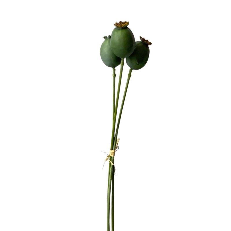 Szálas zöld mák 52cm Szálas zöld mák 52cm