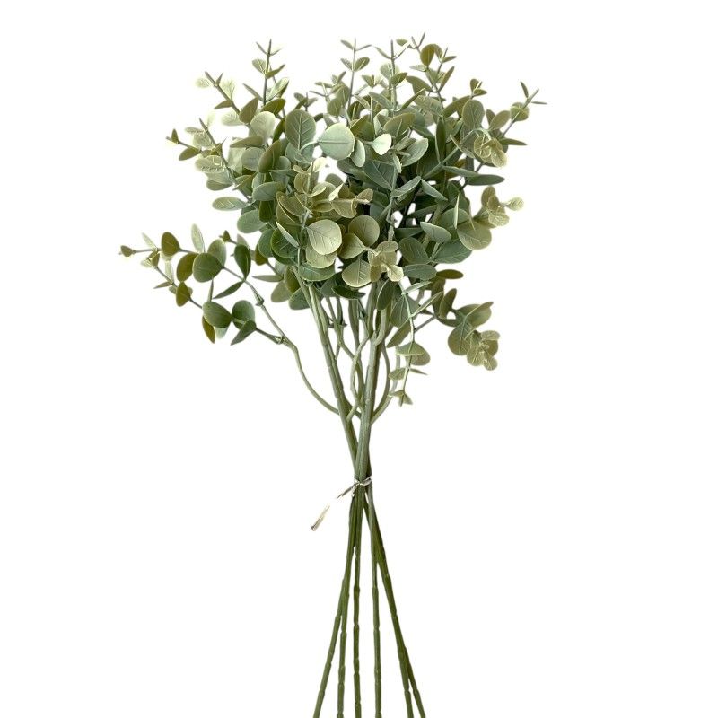 Eukalyptus kötegelt bokor x6 38cm Eukalyptus kötegelt bokor x6 38cm