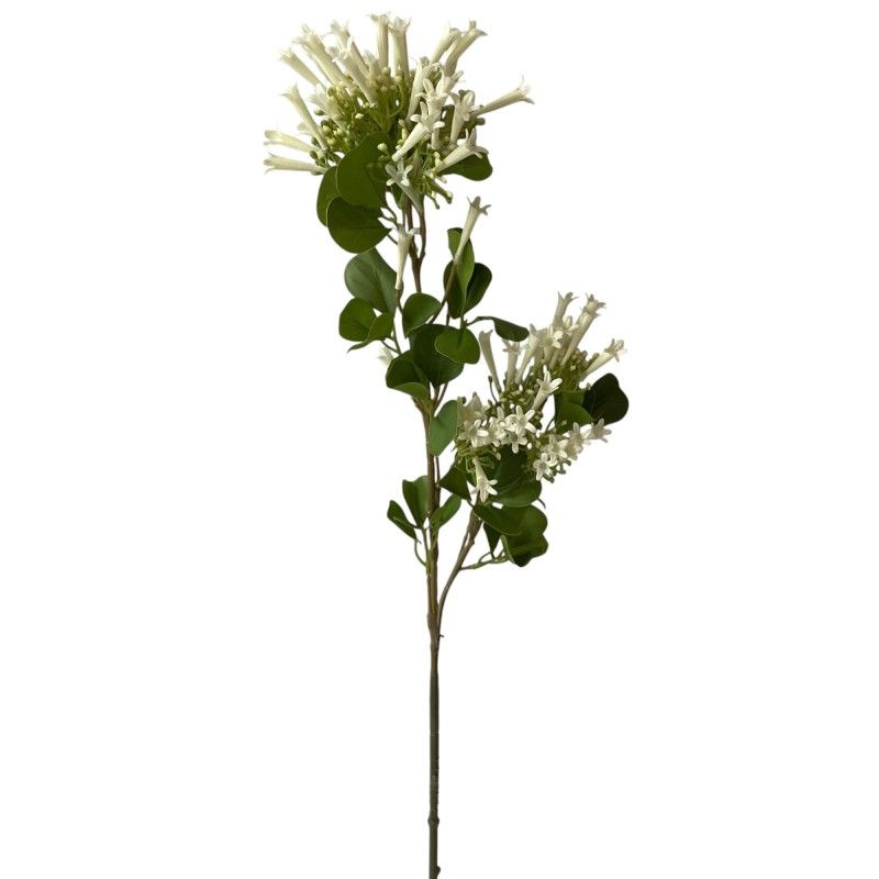 Jázmin ág 90cm Jázmin ág 90cm