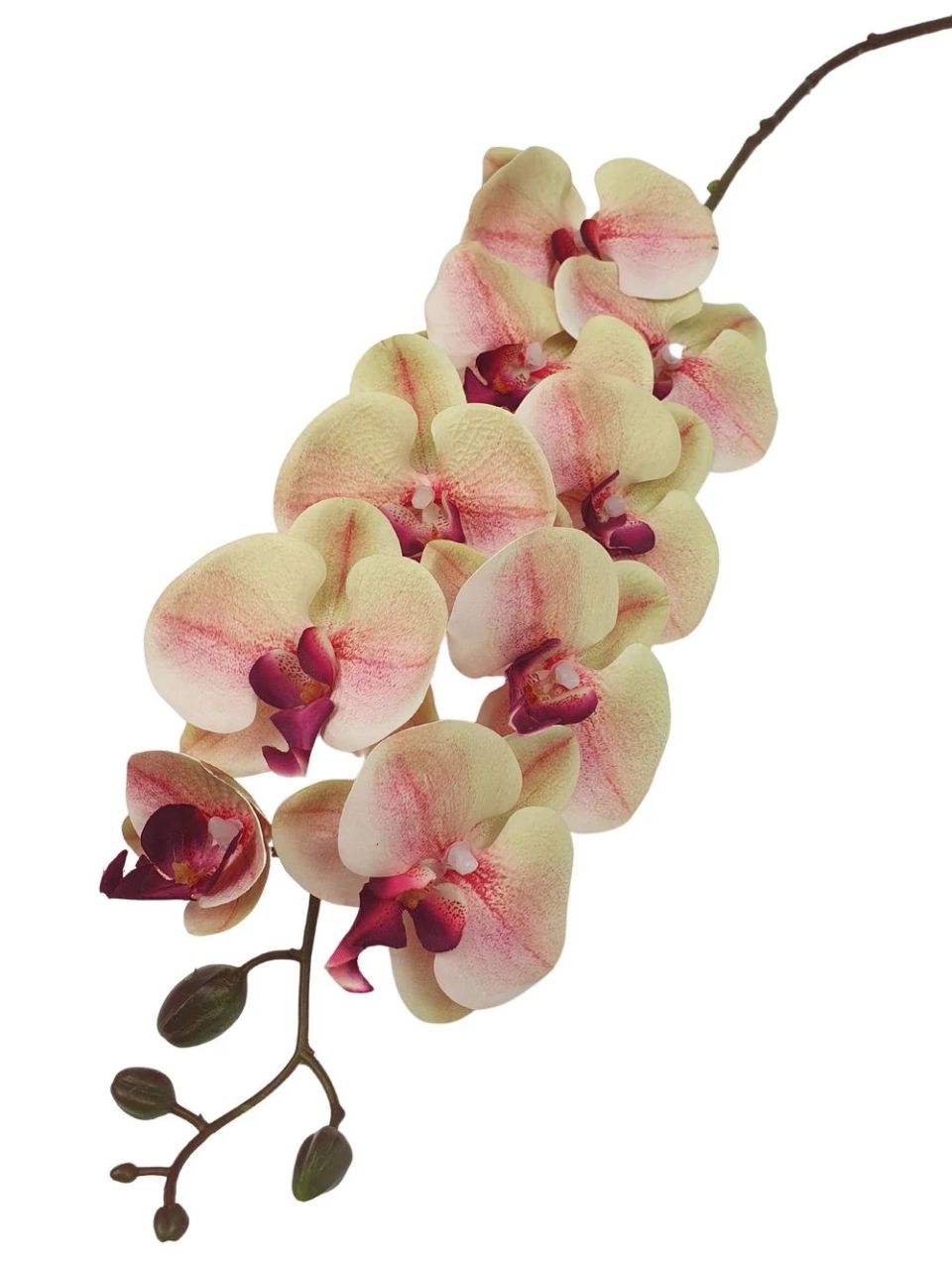 9 fejes nagy phalenopsis ág 110 cm - Több színben 9 fejes nagy phalenopsis ág 110 cm - Több színben