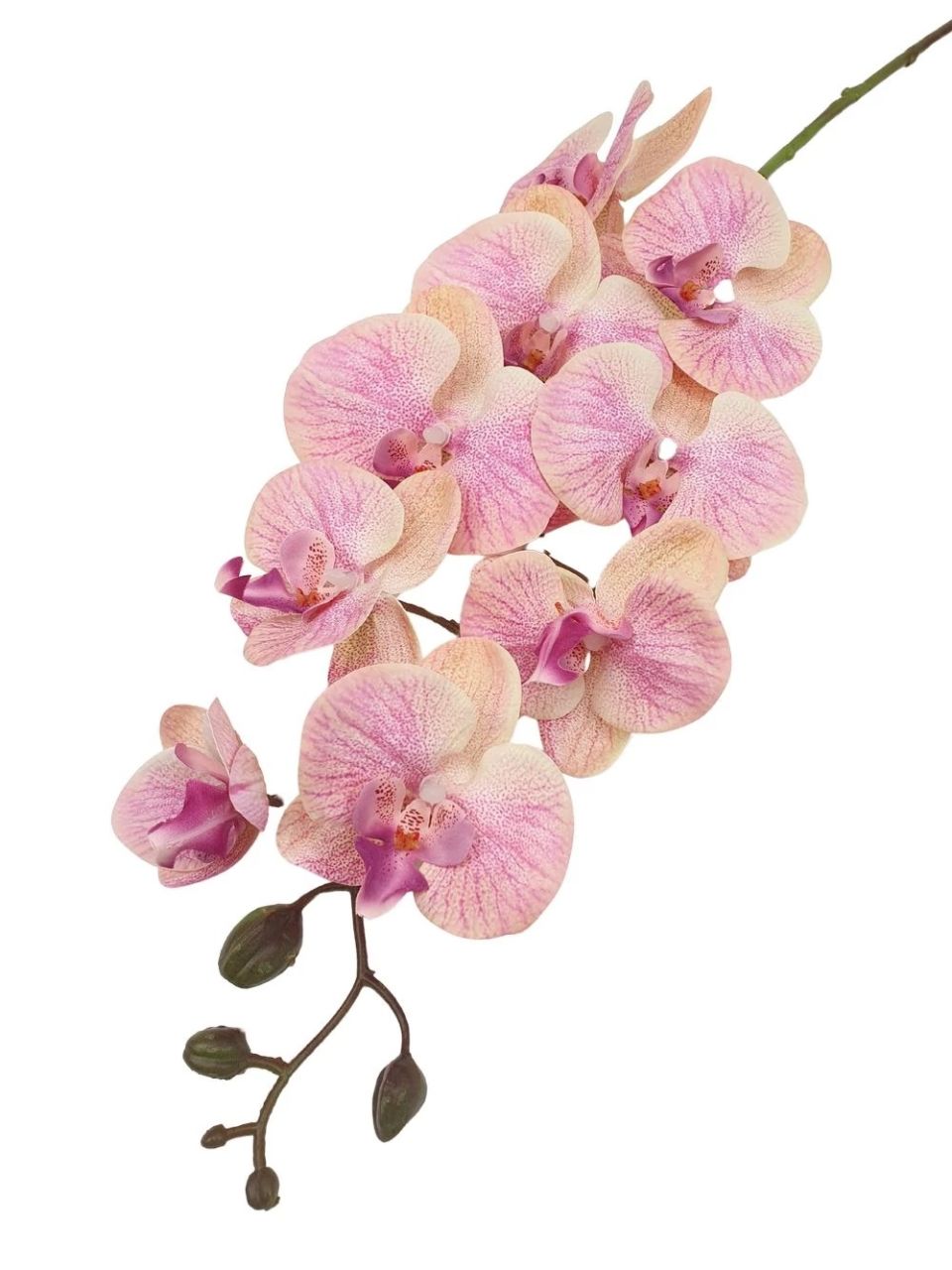 9 fejes nagy phalenopsis ág 110 cm - Több színben 9 fejes nagy phalenopsis ág 110 cm - Több színben