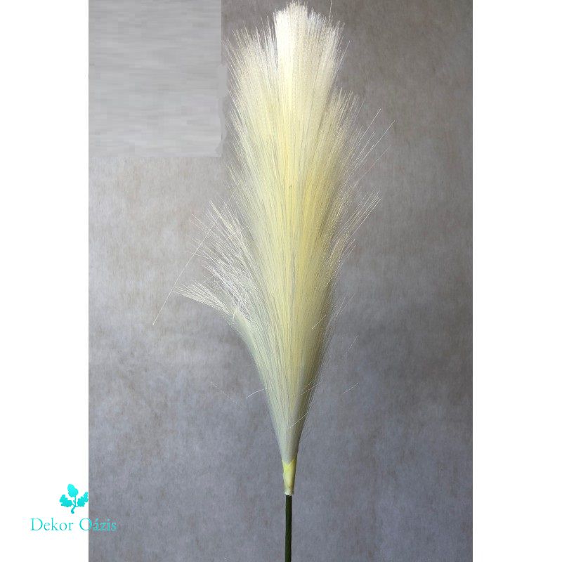 Pampafű 60cm - Krém Pampafű 60cm - Krém