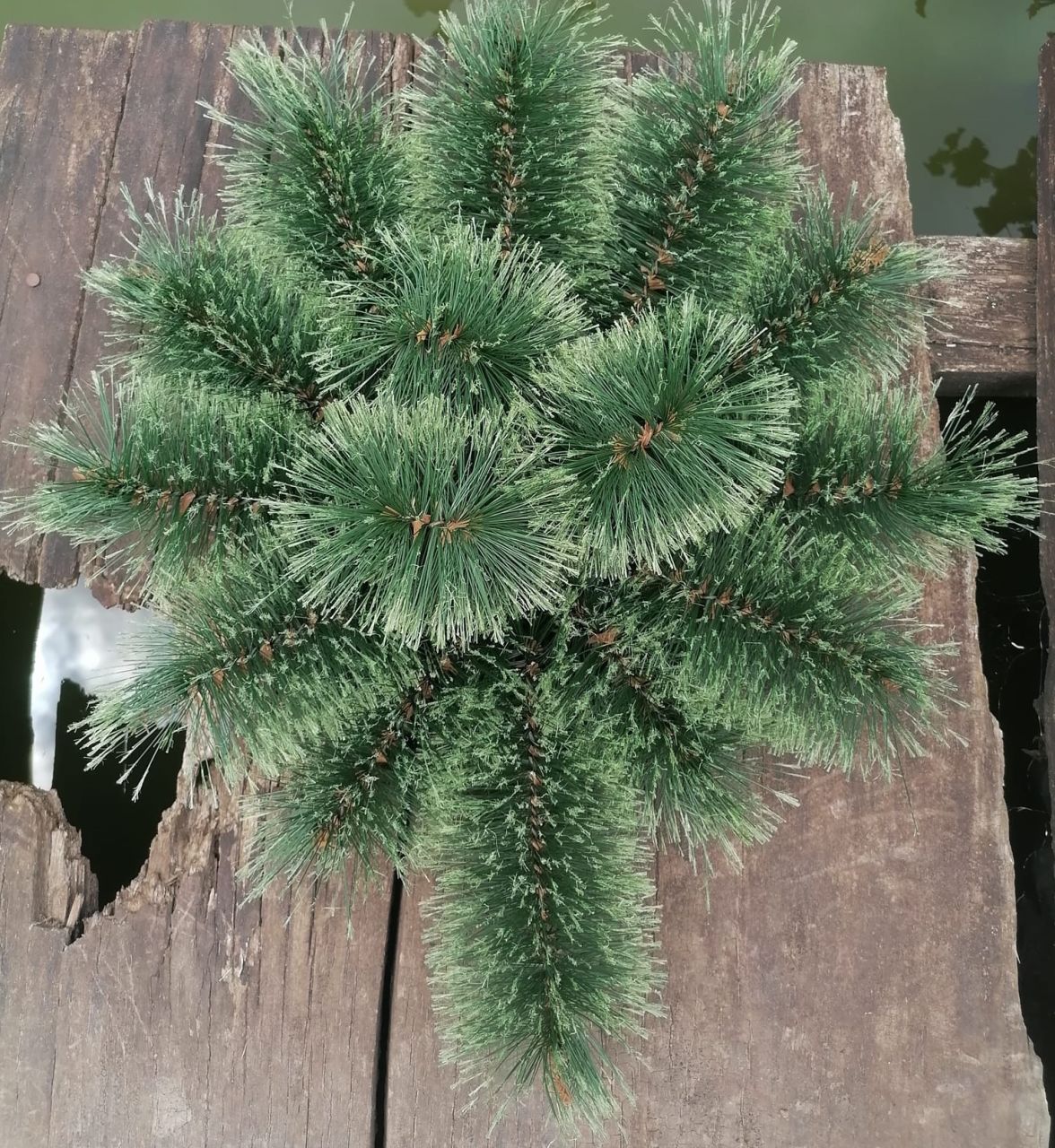 Brush könnycsep műfenyő alap Brush könnycsep műfenyő alap