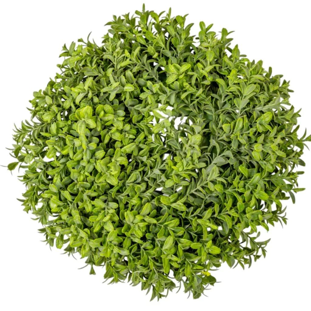 Buxus alap zöld D34cm