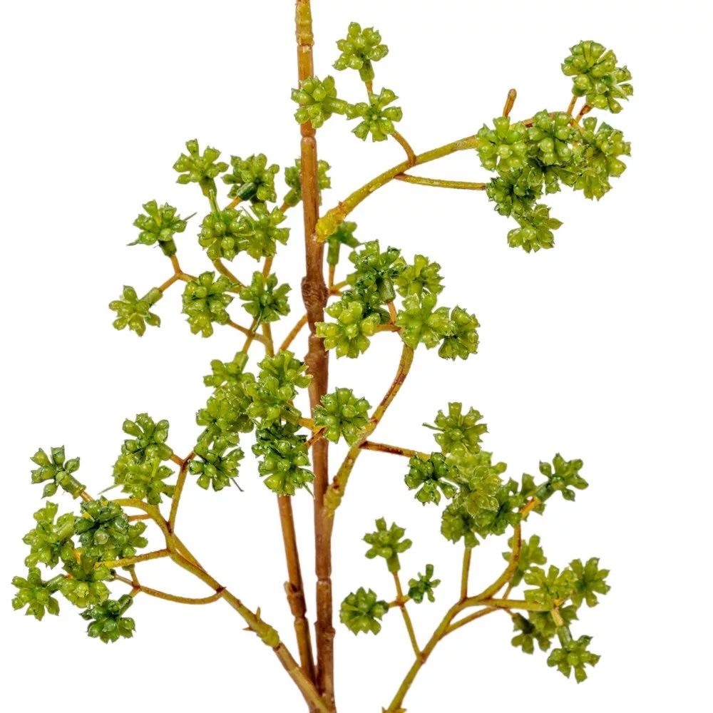 Zöld díszítő ág M66cm Zöld díszítő ág M66cm