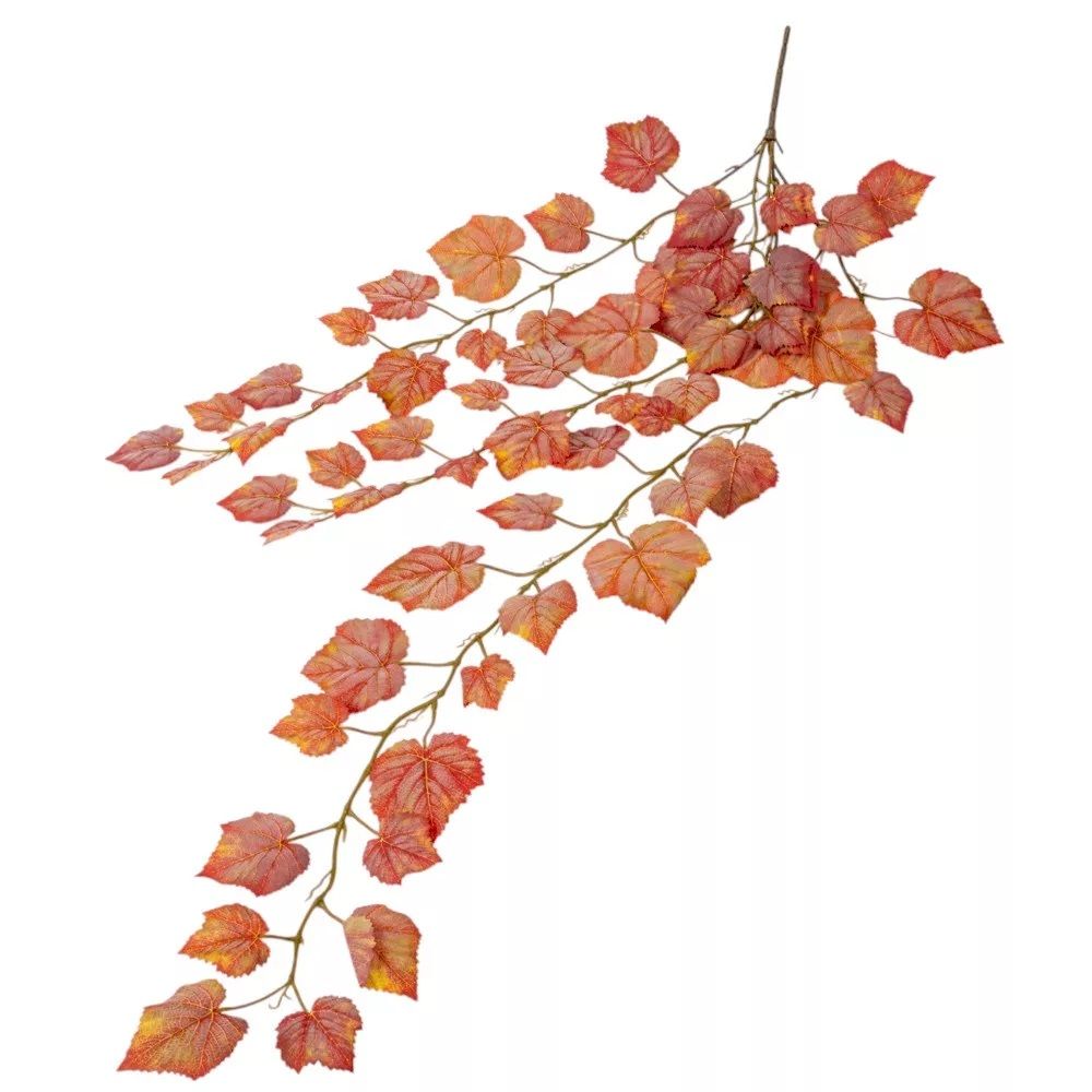 Szőlő leveles őszi futó 120cm Szőlő leveles őszi futó 120cm