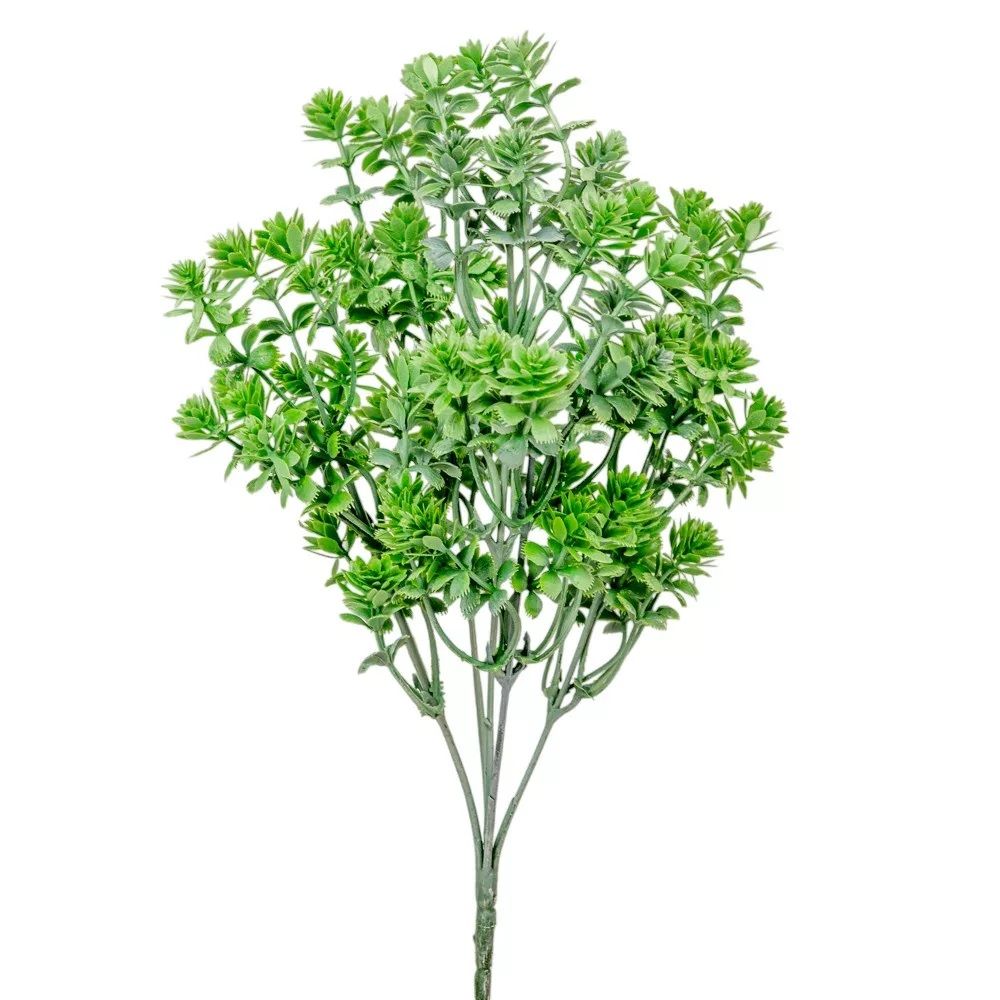 Kövirózsa bokor 5ágú M34cm Kövirózsa bokor 5ágú M34cm