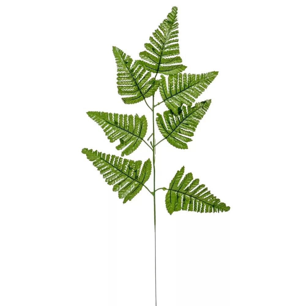 Páfrány levél M58cm Páfrány levél M58cm