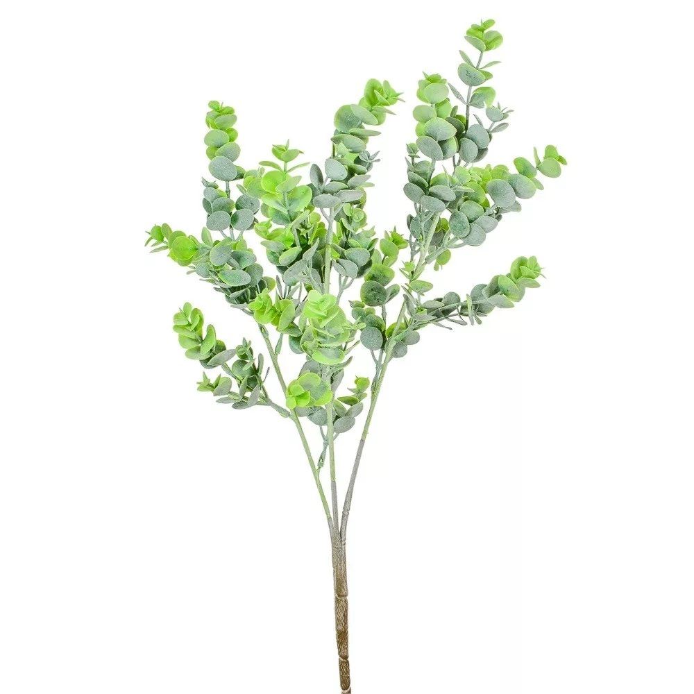 Eukaliptusz bokor M56cm Eukaliptusz bokor M56cm