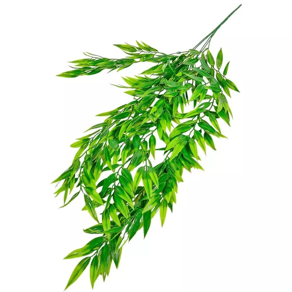 Lándzsaleveles futó 5ág 75cm Lándzsaleveles futó 5ág 75cm