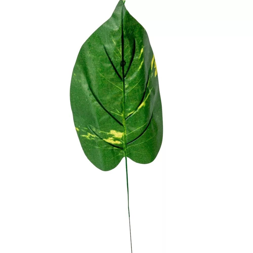 Diffenbachia levél 40cm 12db/köteg